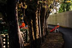 24h_series_12h_misano-Buggyra-BMenz-70