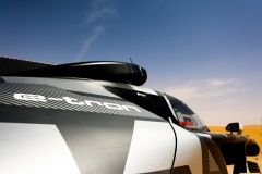 Abu Dhabi Desert Challenge 2022