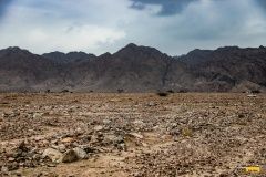 baja_jordan_buggyra-kolocovky22-232