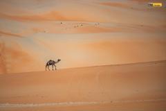 Buggyra-Kolocovka-Abu_fia_w2rc-223
