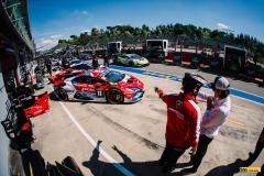 Buggyra-lamba-_imola24-30