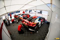 Buggyra-lamba-_imola24-32