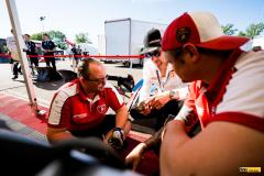 Buggyra-lamba-_imola24-33