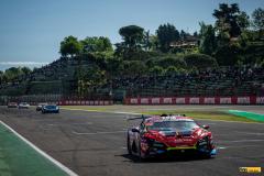 Buggyra-lamba-_imola24-62