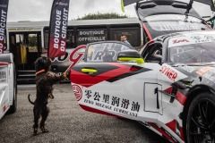 buggyra-nogaro21-fr-140