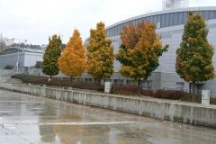 bvv-veletrh-caravaning21-101