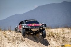 dakar-18-peugeot-29