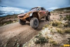 dakar-18-peugeot-41