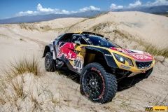 dakar-18-peugeot-76