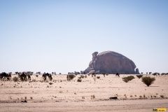 barth-tuma-dakar-2020-9