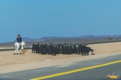 dakar22-uvod-28