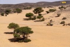 dakar-10et-31