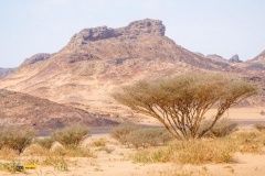 dakar-10et-89