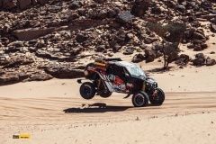 dakar-10et-91