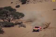 dakar-8e-87