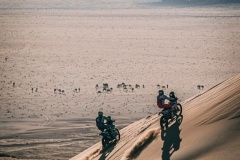 xdakar-22-14