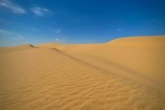 dakar-9et-81-atmosfera-poust