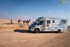 obytnak-barth-velbloudi