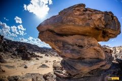 dakar-bonver-fesh-lusk-107