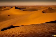 dakar-bonver-fesh-lusk-29