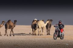 dakar-bonver-fesh-lusk-86