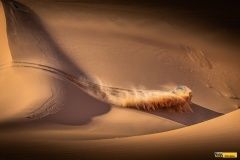 dakar-bonver-fesh-lusk-93