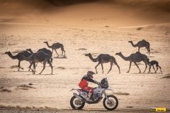 dakar-bonver-fesh-lusk-99