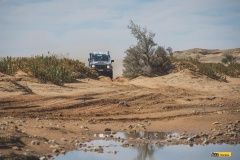dakar-zaver12-13