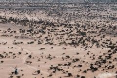 dakar-zaver12-3