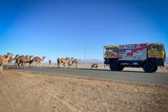 dakar-pred22-76