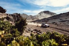 przygon-dakar22-2