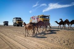 dakar-pred22-51