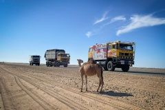 dakar-pred22-69