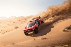 loeb-shake