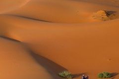 toby-price-dak23-moto-3