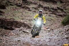 Stefan Svitko (SVK) of Slovnaft Rally Team races during stage 02 of Rally Dakar
2023 from Yanbu to Al Ula, Saudi Arabia on January 02, 2023