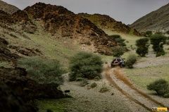 vanagas-toyota-d23-3et-5