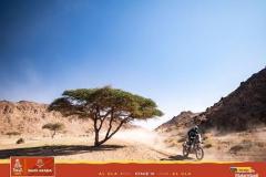 Podmol-LIbor-Dakar24-2