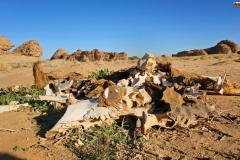 atmosfera-dakar-samurai-4