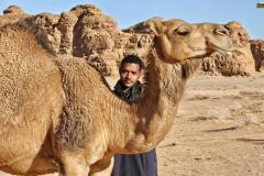 atmosfera-dakar-samurai-5-velbloud