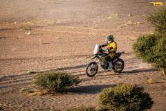 Tabin-Jantar-dakar24-1