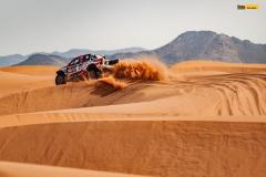 tom-Ourednicek-Toy-11