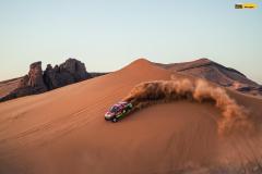 dakar24-shake-prokop-ford-1