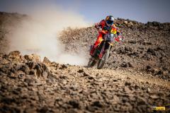Dakar25-RBull-153