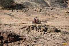 Dakar25-RBull-471