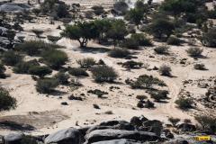 Dakar25-RBull-472
