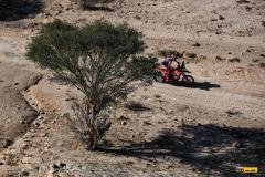 Dakar25-RBull-473