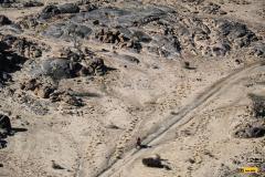 Dakar25-RBull-474