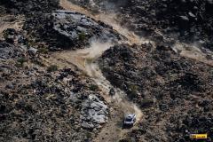Dakar25-RBull-485