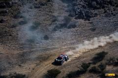 Dakar25-RBull-490